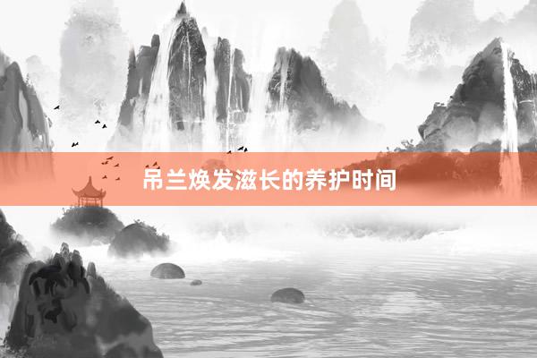吊兰焕发滋长的养护时间