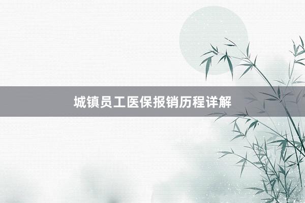 城镇员工医保报销历程详解