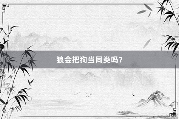 狼会把狗当同类吗？