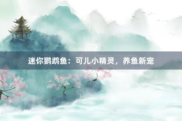 迷你鹦鹉鱼：可儿小精灵，养鱼新宠