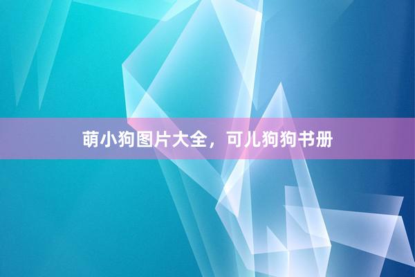 萌小狗图片大全，可儿狗狗书册