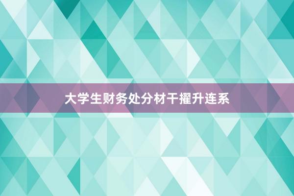 大学生财务处分材干擢升连系